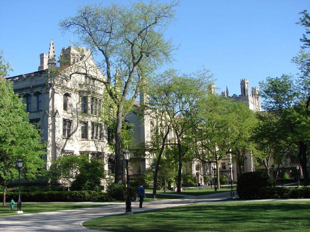 دانشگاه شیکاگو